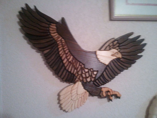 Customers Photo Gallery 3