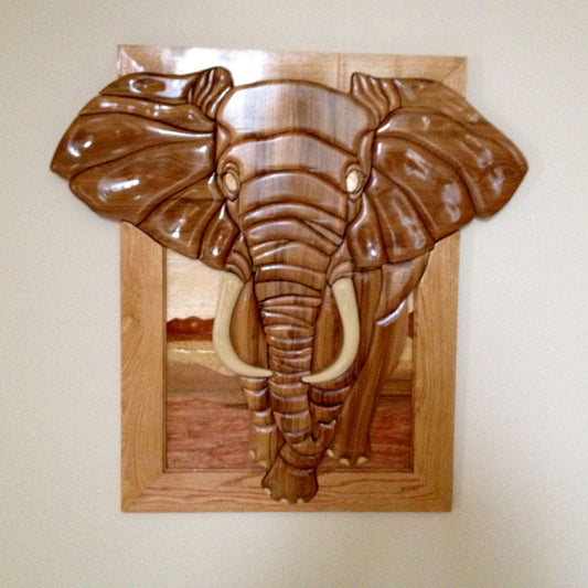 Customers Photo Gallery 1