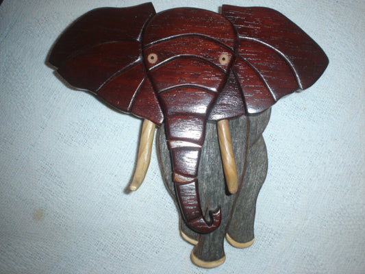 Customers Photo Gallery 8