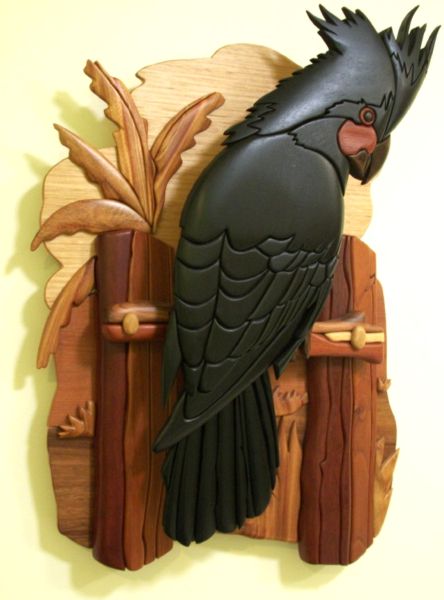 Customers Photo Gallery 9