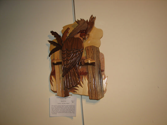 Customers Photo Gallery 5