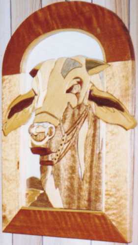 Customers Photo Gallery 9