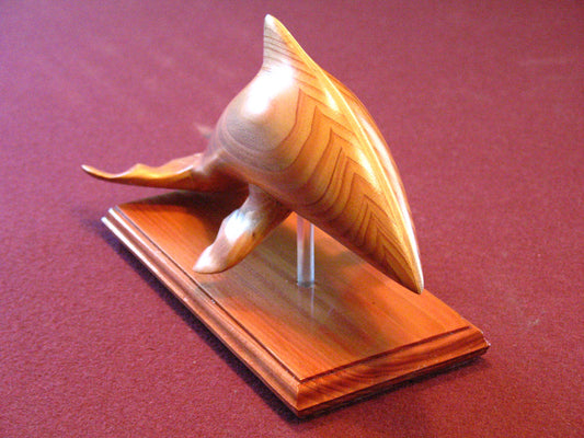 Customers Photo Gallery 4