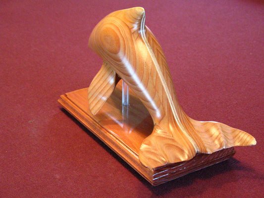 Customers Photo Gallery 3