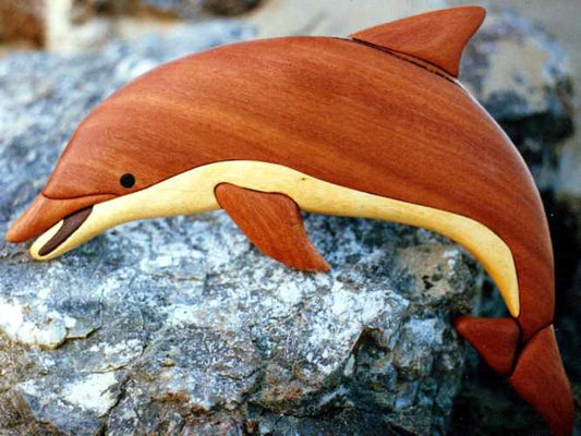 Customers Photo Gallery 2