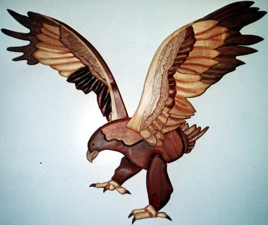 Customers Photo Gallery 10