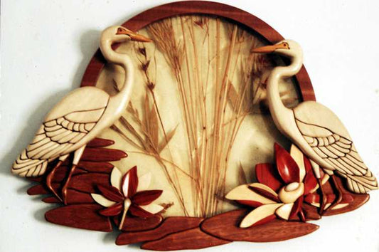 Customers Photo Gallery 1