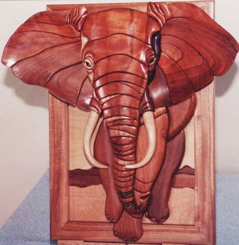 Customers Photo Gallery 17