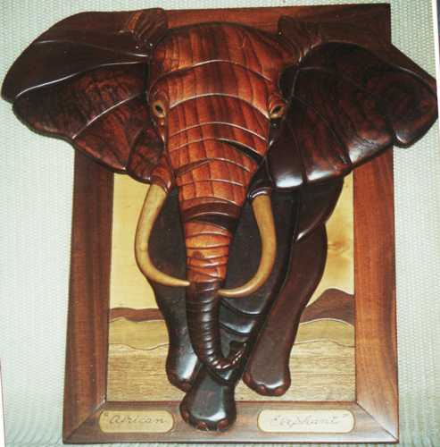 Customers Photo Gallery 18