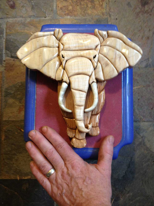 Customers Photo Gallery 5