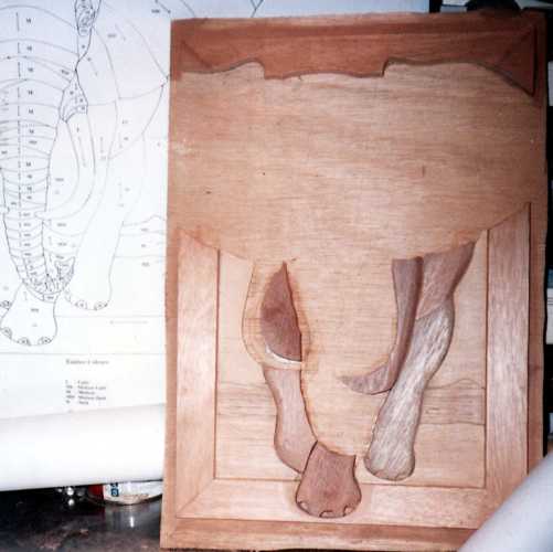 Customers Photo Gallery 19