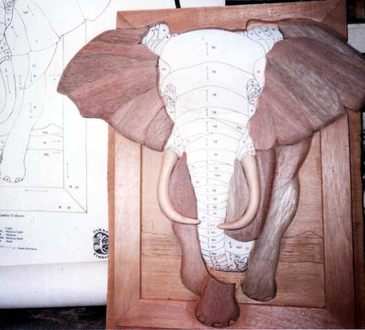 Customers Photo Gallery 14