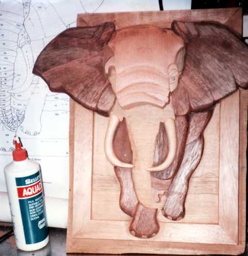 Customers Photo Gallery 22