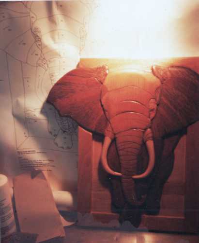 Customers Photo Gallery 21