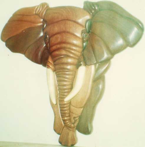 Customers Photo Gallery 20