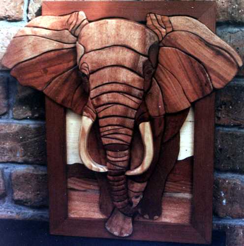 Customers Photo Gallery 13