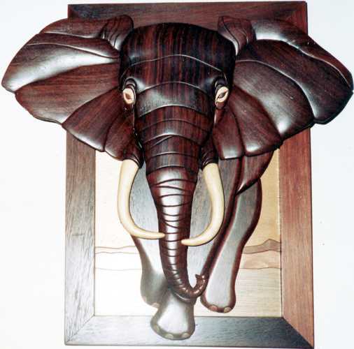 Customers Photo Gallery 10