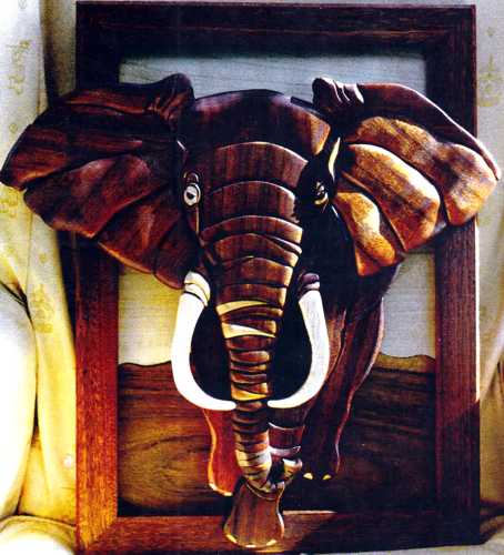 Customers Photo Gallery 9