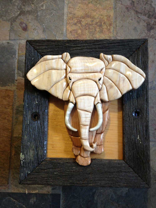 Customers Photo Gallery 6