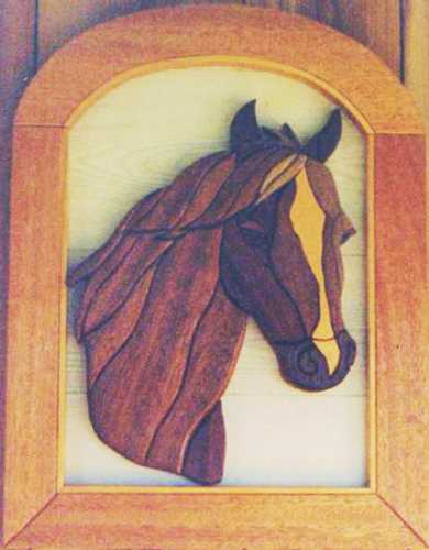 Customers Photo Gallery 1