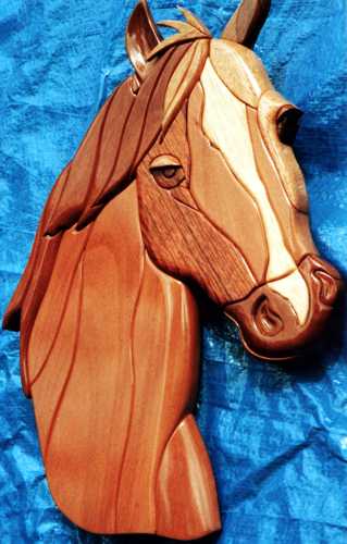 Customers Photo Gallery 4