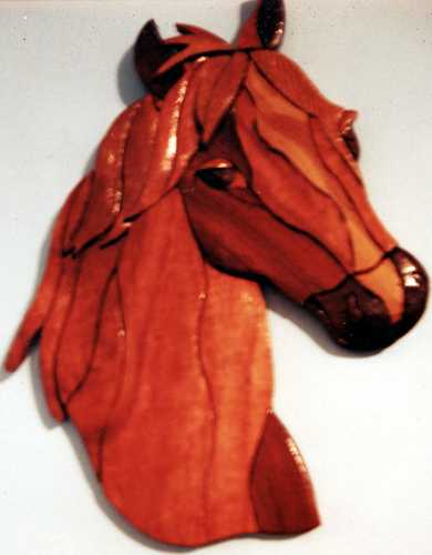 Customers Photo Gallery 7