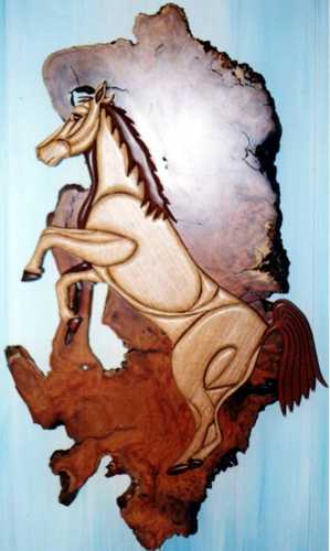 Customers Photo Gallery 5