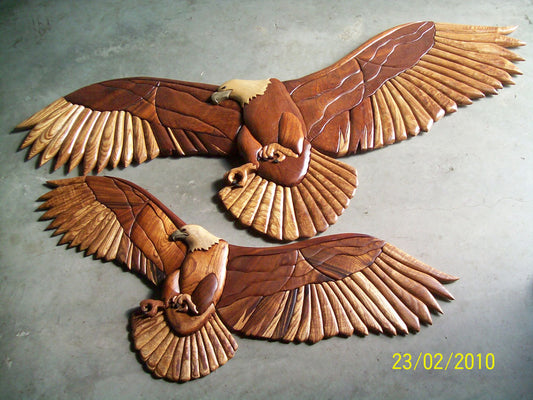 Customers Photo Gallery 7