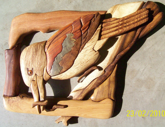 Customers Photo Gallery 3