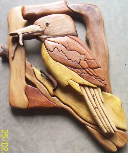 Customers Photo Gallery 1