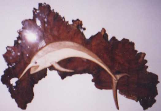 Customers Photo Gallery 11