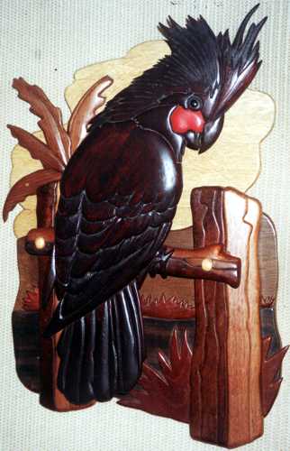 Customers Photo Gallery 14