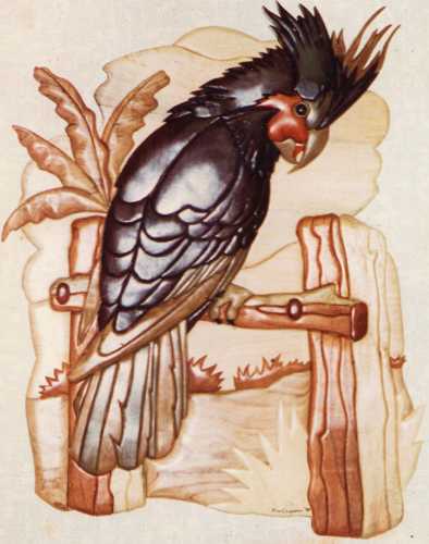 Customers Photo Gallery 12