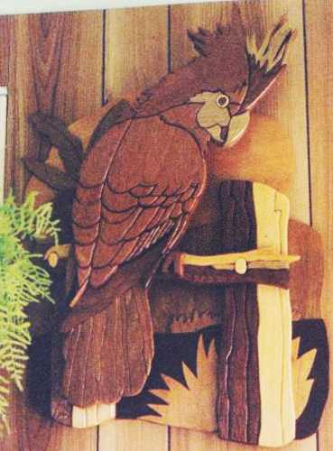 Customers Photo Gallery 7