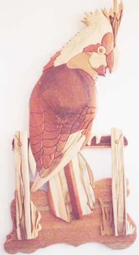 Customers Photo Gallery 6