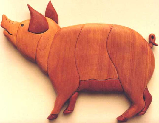 Customers Photo Gallery 17