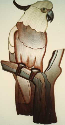 Customers Photo Gallery 16