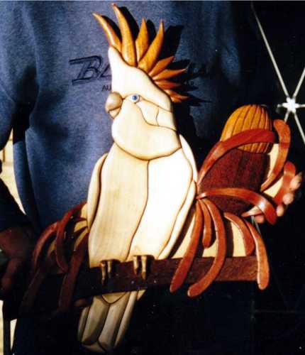 Customers Photo Gallery 8