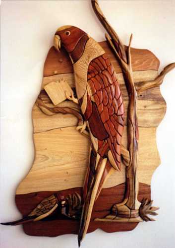 Customers Photo Gallery 10