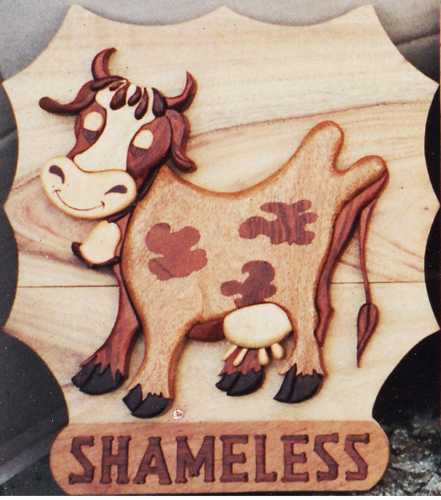 Customers Photo Gallery 11