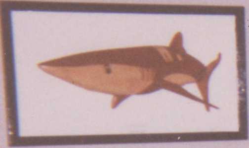 Customers Photo Gallery 7