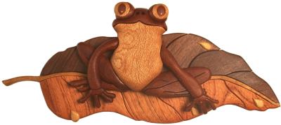 Customers Photo Gallery 9