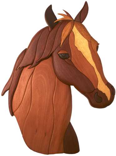 Customers Photo Gallery 6