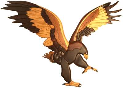 Customers Photo Gallery 11