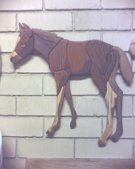 Customers Photo Gallery 2