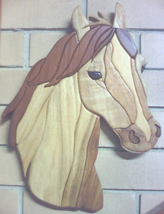 Customers Photo Gallery 3