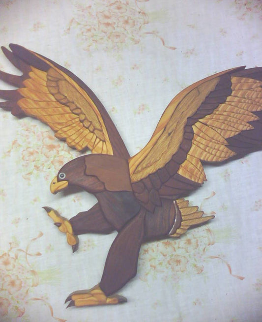 Customers Photo Gallery 1