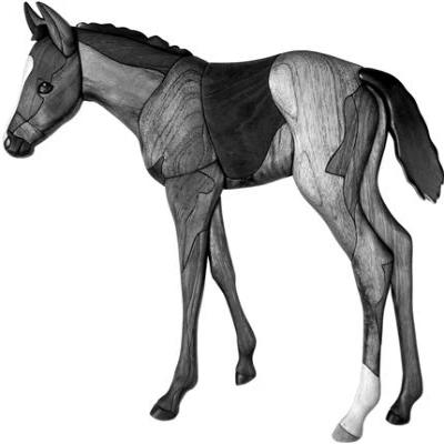 foal