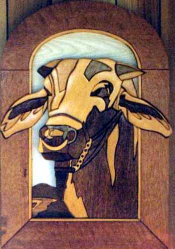 Customers Photo Gallery – Fantastic Woodworking