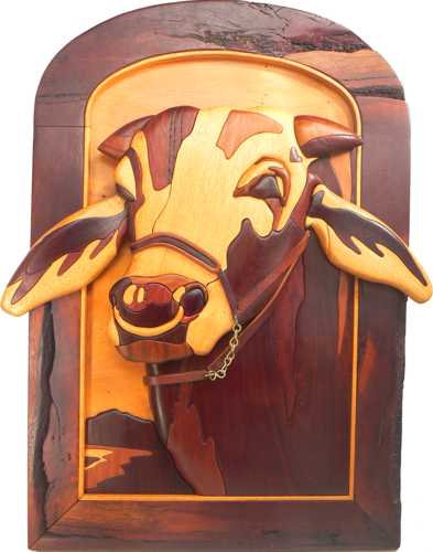 Customers Photo Gallery – Fantastic Woodworking
